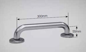 BT00CS - 32mm Straight Satin Stainless Steel Grab Rail - CleanSeal™ Flanges